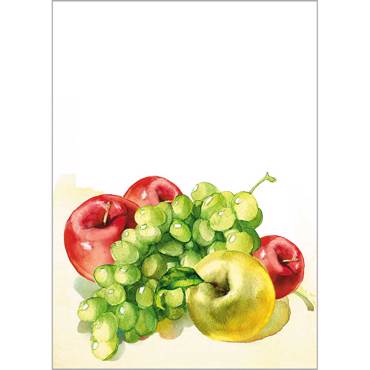 Ρόλερ με Ψηφιακή Εκτύπωση 'Fruits' Α1702