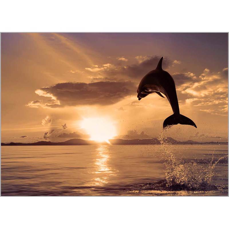 Κουρτίνες, στόρια agiovlasitishome - ΣΗΜΑΝΤΙΚΟ: Σε περίπτωση διαφοράς τιμής από το κατάστημα ισχύει παντα και μόνο η τιμή του καταστήματος Ρόλερ με Ψηφιακή Εκτύπωση 'Δελφίνι' Α1801