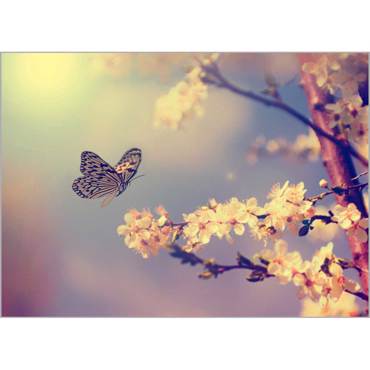 Ρόλερ με Ψηφιακή Εκτύπωση 'Φύση' Α1811