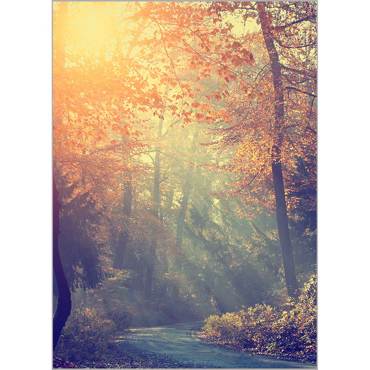 Ρόλερ με Ψηφιακή Εκτύπωση 'Τοπίο' Α1813