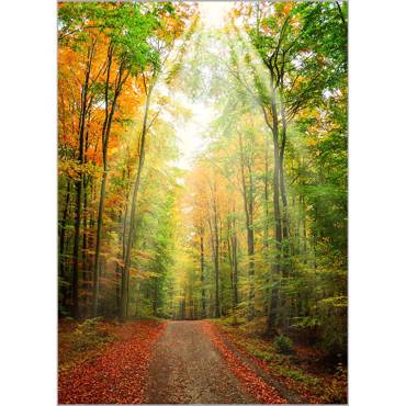 Ρόλερ με Ψηφιακή Εκτύπωση 'Τοπίο' Α1814