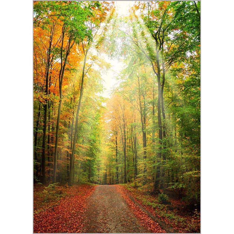 Κουρτίνες, στόρια agiovlasitishome - ΣΗΜΑΝΤΙΚΟ: Σε περίπτωση διαφοράς τιμής από το κατάστημα ισχύει παντα και μόνο η τιμή του καταστήματος Ρόλερ με Ψηφιακή Εκτύπωση 'Τοπίο' Α1814