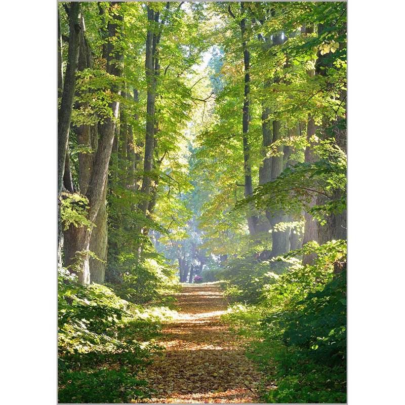 Κουρτίνες, στόρια agiovlasitishome - ΣΗΜΑΝΤΙΚΟ: Σε περίπτωση διαφοράς τιμής από το κατάστημα ισχύει παντα και μόνο η τιμή του καταστήματος Ρόλερ με Ψηφιακή Εκτύπωση 'Τοπίο' Α1815