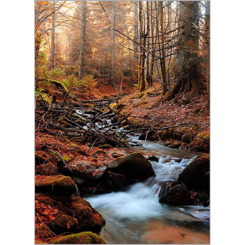 Κουρτίνες, στόρια agiovlasitishome - ΣΗΜΑΝΤΙΚΟ: Σε περίπτωση διαφοράς τιμής από το κατάστημα ισχύει παντα και μόνο η τιμή του καταστήματος Ρόλερ με Ψηφιακή Εκτύπωση 'Mountain River' Α1820