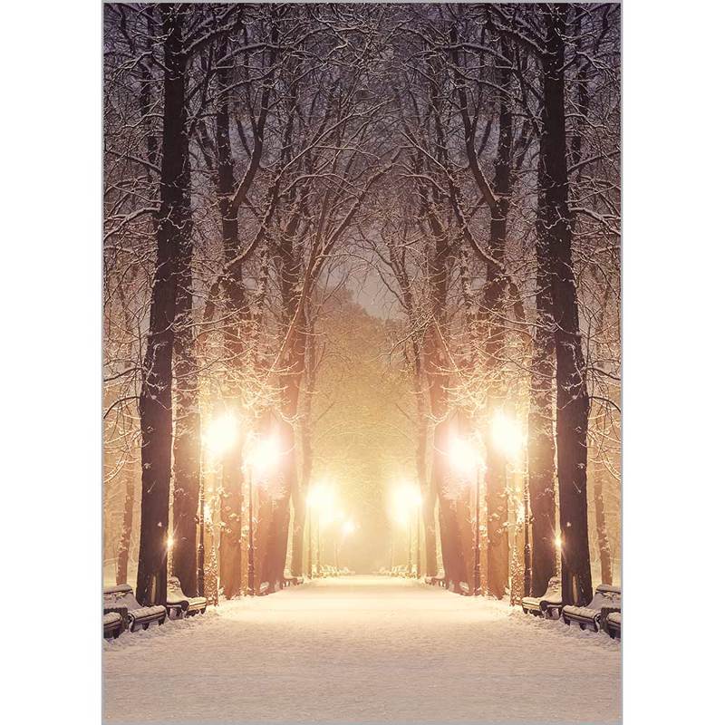 Κουρτίνες, στόρια agiovlasitishome - ΣΗΜΑΝΤΙΚΟ: Σε περίπτωση διαφοράς τιμής από το κατάστημα ισχύει παντα και μόνο η τιμή του καταστήματος Ρόλερ με Ψηφιακή Εκτύπωση 'Winter Path' Α1822