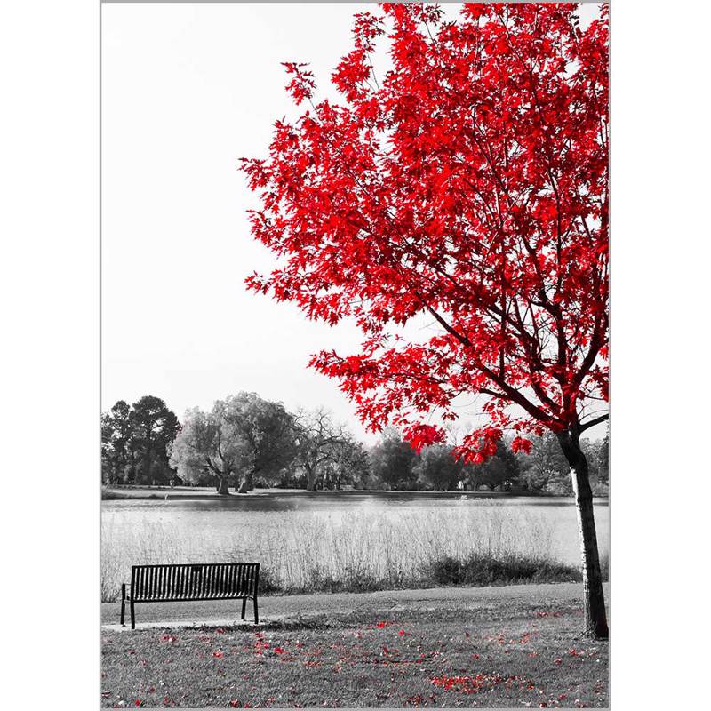 Κουρτίνες, στόρια agiovlasitishome - ΣΗΜΑΝΤΙΚΟ: Σε περίπτωση διαφοράς τιμής από το κατάστημα ισχύει παντα και μόνο η τιμή του καταστήματος Ρόλερ με Ψηφιακή Εκτύπωση 'Park Bench' Α1824