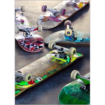 Ρόλερ με Ψηφιακή Εκτύπωση 'Skateboards' Α1907