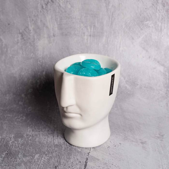 Aromatistis Scentchips me Epistrosi Porselanis Visage White 850139