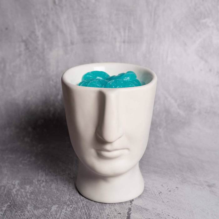 Aromatistis Scentchips me Epistrosi Porselanis Visage White 850139