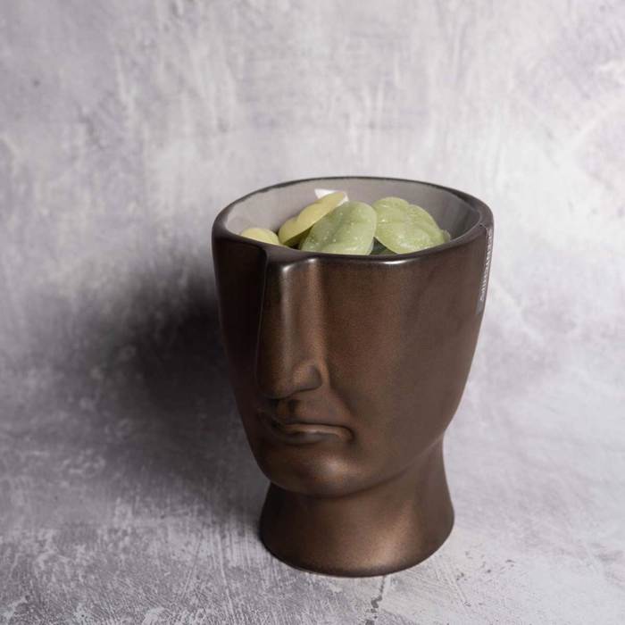 Aromatistis Scentchips me Epistrosi Porselanis 'Visage' Bronze 850140