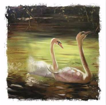 ΡΟΛΕΡ ΜΕ ΨΗΦΙΑΚΗ ΕΚΤΥΠΩΣΗ 'ΚΥΚΝΟΙ' E174