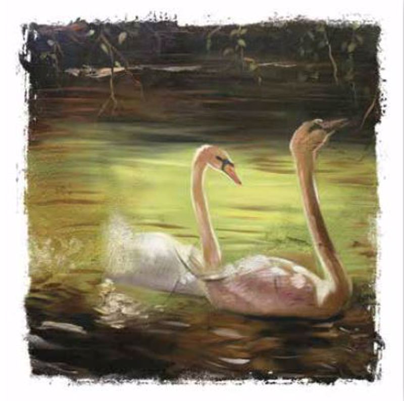 ΡΟΛΕΡ ΜΕ ΨΗΦΙΑΚΗ ΕΚΤΥΠΩΣΗ 'ΚΥΚΝΟΙ' E174