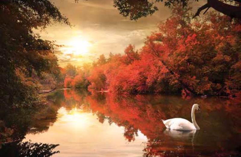 Anartisi - ΣΗΜΑΝΤΙΚΟ: Σε περίπτωση διαφοράς τιμής από το κατάστημα ισχύει παντα και μόνο η τιμή του καταστήματος ΡΟΛΕΡ ΜΕ ΨΗΦΙΑΚΗ ΕΚΤΥΠΩΣΗ 'ΤΟΠΙΟ ΜΕ ΚΥΚΝΟ' E179