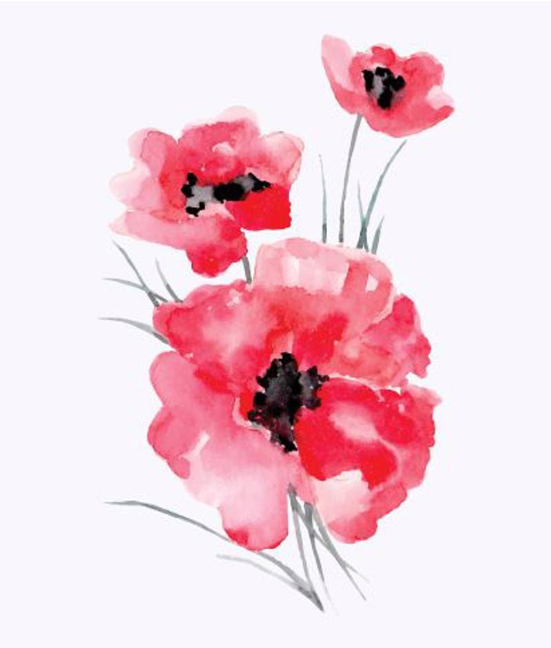 Κουρτίνες, στόρια agiovlasitishome - ΣΗΜΑΝΤΙΚΟ: Σε περίπτωση διαφοράς τιμής από το κατάστημα ισχύει παντα και μόνο η τιμή του καταστήματος Ρόλερ με Ψηφιακή Εκτύπωση Παπαρούνες 'Watercolor Poppie