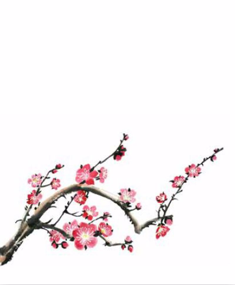 ΡΟΛΕΡ ΜΕ ΨΗΦΙΑΚΗ ΕΚΤΥΠΩΣΗ 'ΑΝΘΗ ΣΕ ΚΛΑΔΙ' E191