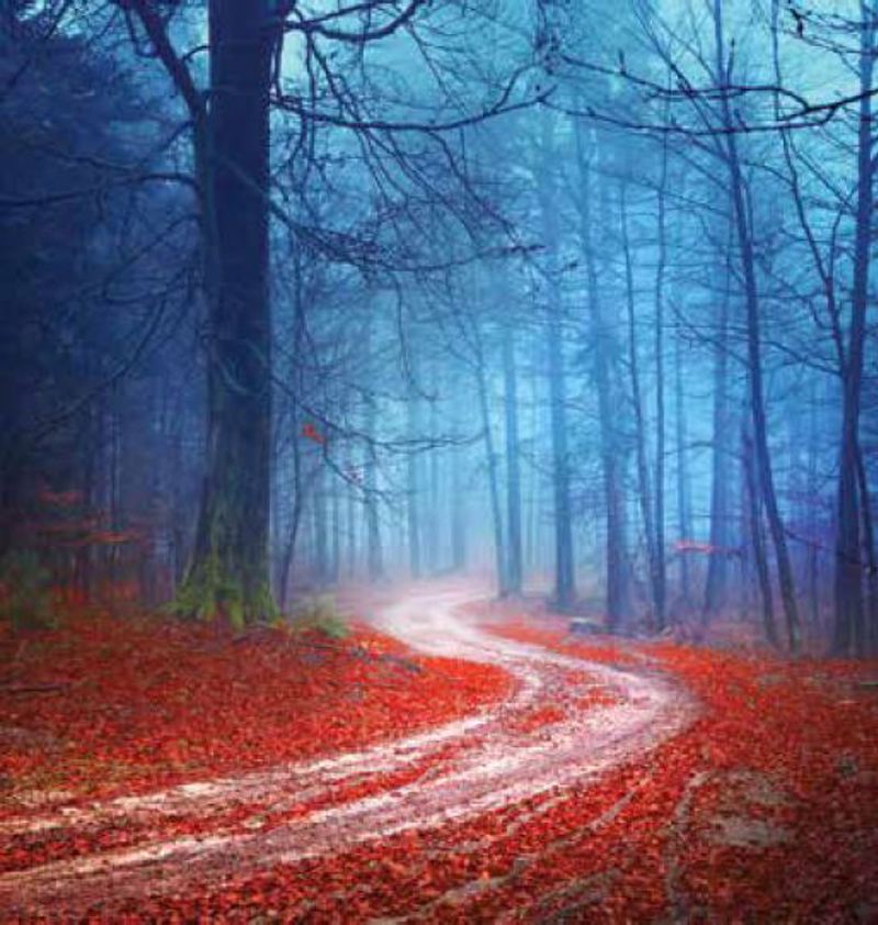 Anartisi - ΣΗΜΑΝΤΙΚΟ: Σε περίπτωση διαφοράς τιμής από το κατάστημα ισχύει παντα και μόνο η τιμή του καταστήματος ΡΟΛΕΡ ΜΕ ΨΗΦΙΑΚΗ ΕΚΤΥΠΩΣΗ 'ΤΟΠΙΟ' E209