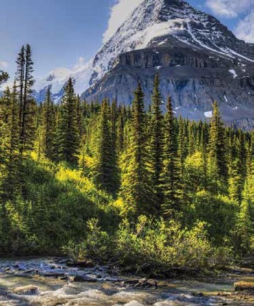 ΡΟΛΕΡ ΜΕ ΨΗΦΙΑΚΗ ΕΚΤΥΠΩΣΗ 'ΟΡΕΙΝΟ ΤΟΠΙΟ' E219