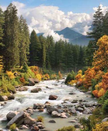 ΡΟΛΕΡ ΜΕ ΨΗΦΙΑΚΗ ΕΚΤΥΠΩΣΗ 'ΤΟΠΙΟ' E225