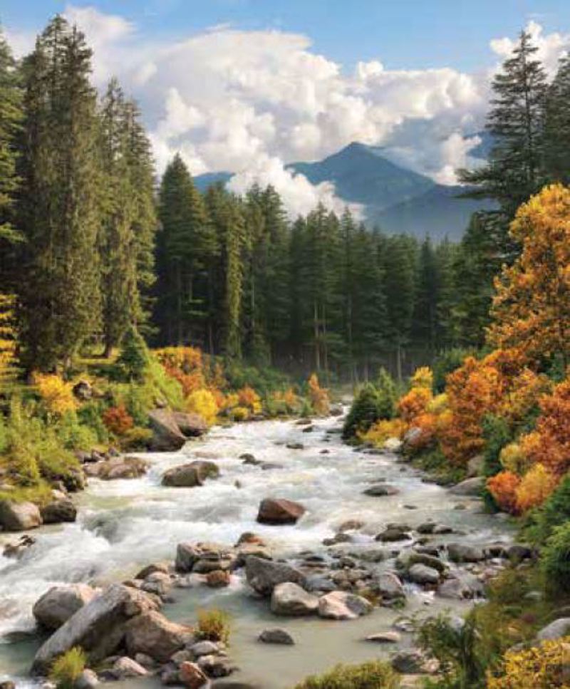 ΡΟΛΕΡ ΜΕ ΨΗΦΙΑΚΗ ΕΚΤΥΠΩΣΗ 'ΤΟΠΙΟ' E225