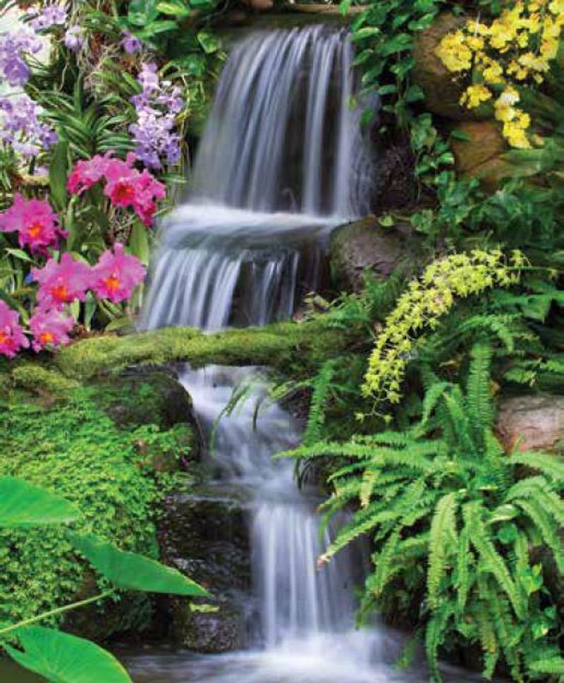 Anartisi - ΣΗΜΑΝΤΙΚΟ: Σε περίπτωση διαφοράς τιμής από το κατάστημα ισχύει παντα και μόνο η τιμή του καταστήματος ΡΟΛΕΡ ΜΕ ΨΗΦΙΑΚΗ ΕΚΤΥΠΩΣΗ 'ΤΟΠΙΟ' E231