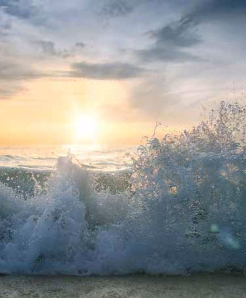 Anartisi - ΣΗΜΑΝΤΙΚΟ: Σε περίπτωση διαφοράς τιμής από το κατάστημα ισχύει παντα και μόνο η τιμή του καταστήματος ΡΟΛΕΡ ΜΕ ΨΗΦΙΑΚΗ ΕΚΤΥΠΩΣΗ 'ΤΟΠΙΟ' E233