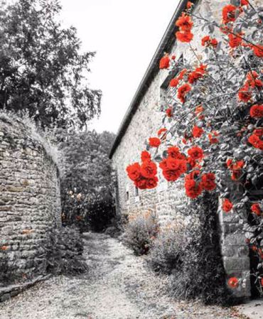 ΡΟΛΕΡ ΜΕ ΨΗΦΙΑΚΗ ΕΚΤΥΠΩΣΗ 'ΠΕΤΡΙΝΟ ΣΠΙΤΙ' E240