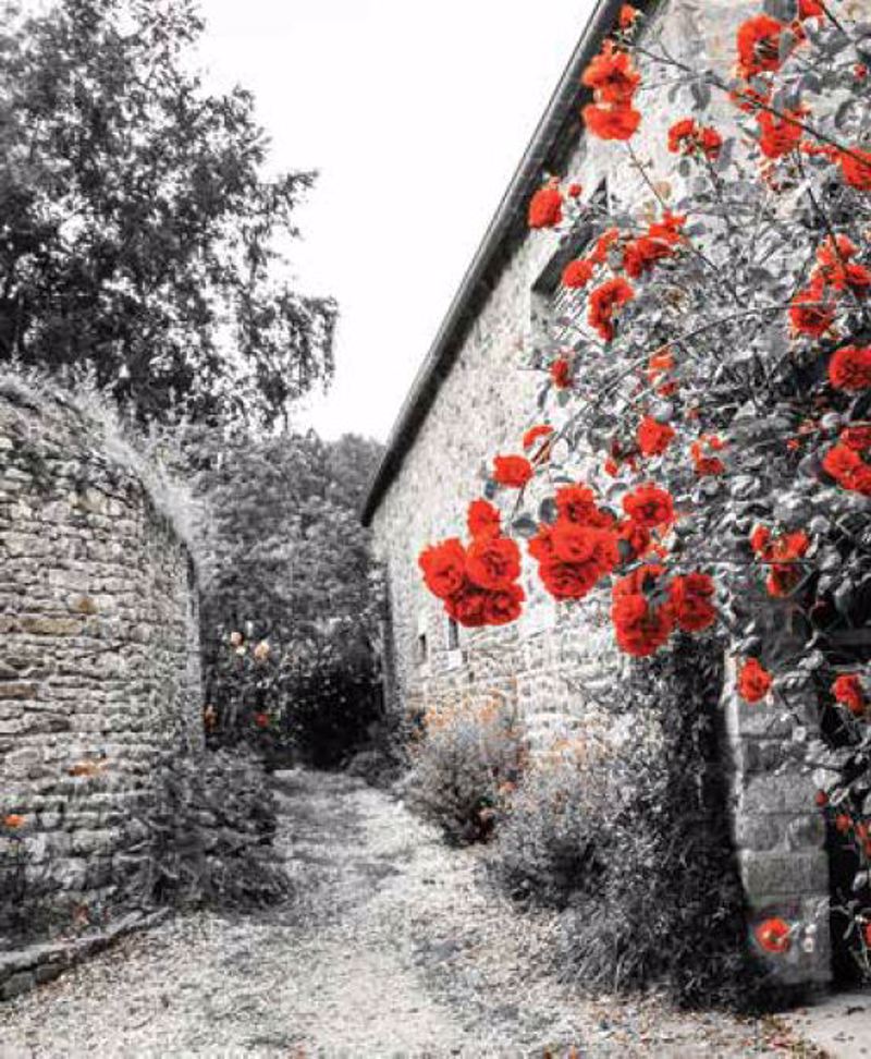 ΡΟΛΕΡ ΜΕ ΨΗΦΙΑΚΗ ΕΚΤΥΠΩΣΗ 'ΠΕΤΡΙΝΟ ΣΠΙΤΙ' E240