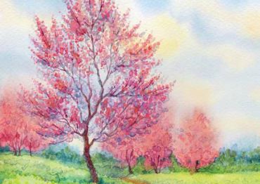 ΡΟΛΕΡ ΜΕ ΨΗΦΙΑΚΗ ΕΚΤΥΠΩΣΗ 'ΑΝΟΙΞΙΑΤΙΚΟ ΤΟΠΙΟ' E277