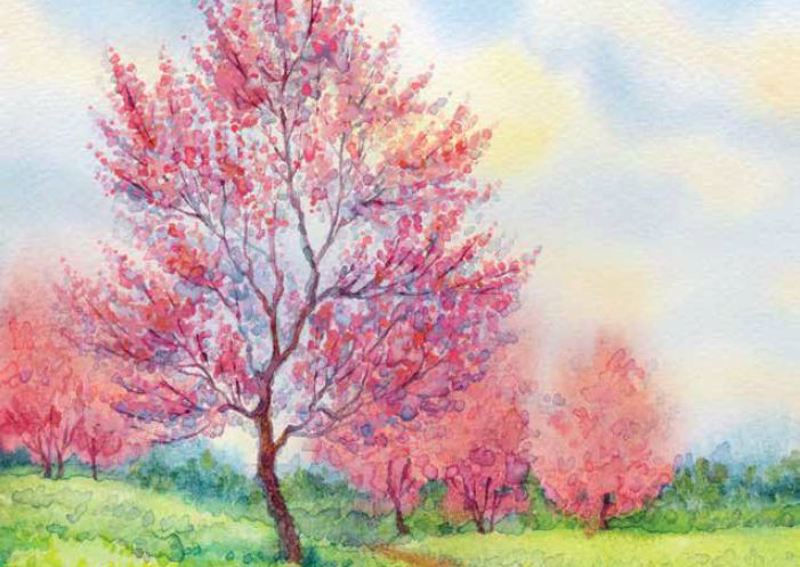 Κουρτίνες, στόρια agiovlasitishome - ΣΗΜΑΝΤΙΚΟ: Σε περίπτωση διαφοράς τιμής από το κατάστημα ισχύει παντα και μόνο η τιμή του καταστήματος ΡΟΛΕΡ ΜΕ ΨΗΦΙΑΚΗ ΕΚΤΥΠΩΣΗ 'ΑΝΟΙΞΙΑΤΙΚΟ ΤΟΠΙΟ' E277