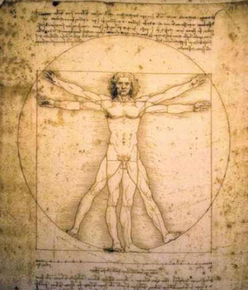 ΡΟΛΕΡ ΜΕ ΨΗΦΙΑΚΗ ΕΚΤΥΠΩΣΗ 'VITRUVIAN MAN' E290