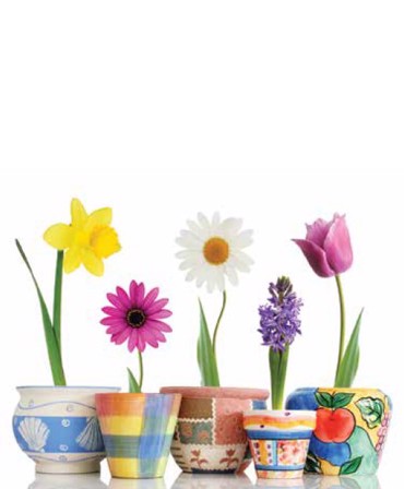 Ρόλερ με Ψηφιακή Εκτύπωση Πολύχρωμα Λουλούδια ''Spring Mood'' E312