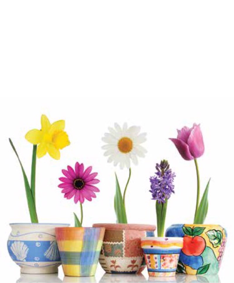 Ρόλερ με Ψηφιακή Εκτύπωση Πολύχρωμα Λουλούδια ''Spring 