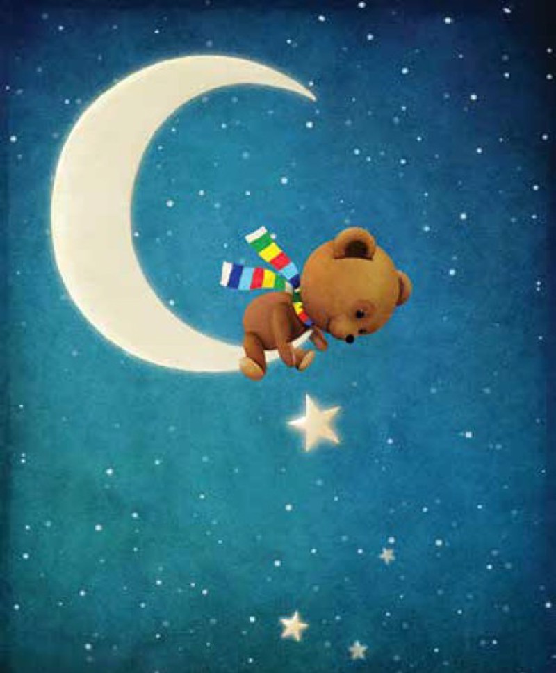 Ρόλερ με Ψηφιακή Εκτύπωση 'Αρκουδάκι Στο Φεγγάρι' E327