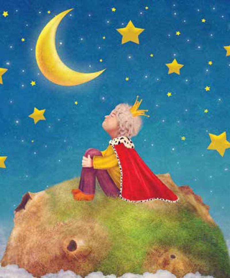 Anartisi - ΣΗΜΑΝΤΙΚΟ: Σε περίπτωση διαφοράς τιμής από το κατάστημα ισχύει παντα και μόνο η τιμή του καταστήματος Ρόλερ με Ψηφιακή Εκτύπωση 'Ο Μικρός Πρίγκηπας' E328