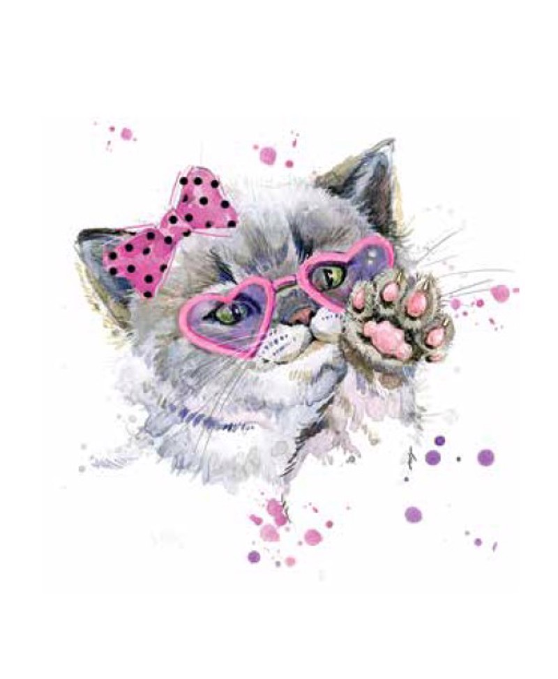 Ρόλερ με Ψηφιακή Εκτύπωση 'Γάτα με Ροζ Φιόγκο' E332