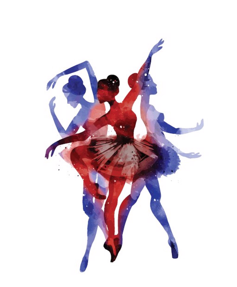 Ρόλερ με Ψηφιακή Εκτύπωση 'Ballerinas' E342