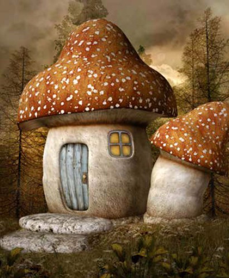 Ρόλερ με Ψηφιακή Εκτύπωση 'Σπιτι-Μανιταρι' E352