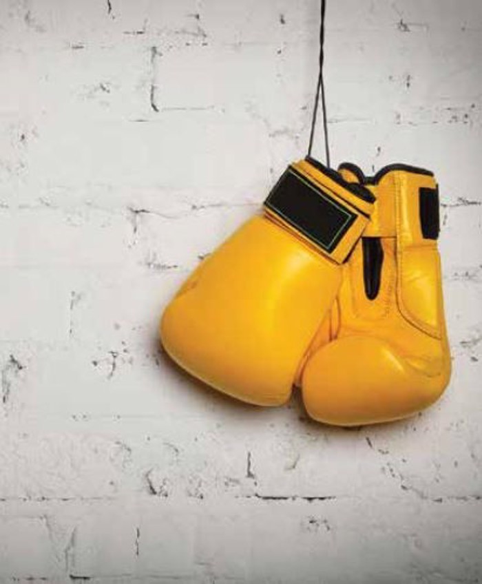 Roler me Psifiaki Ektuposi 'Boxing Gloves' E374