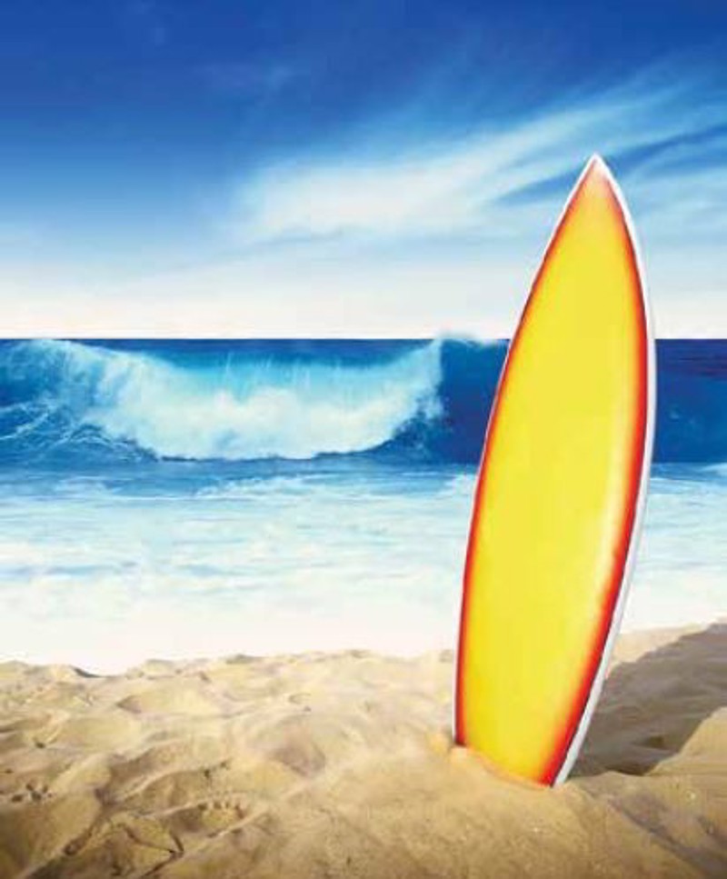 Ρόλερ με Ψηφιακή Εκτύπωση 'Surfing Board' E378