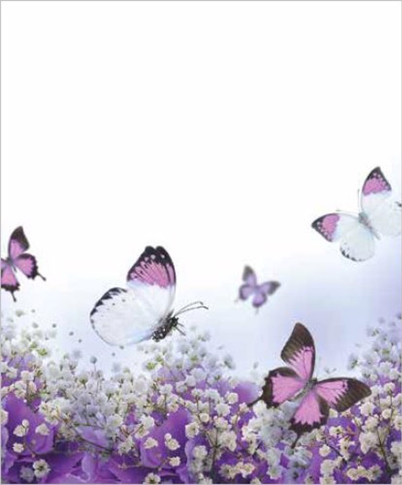 Ρόλερ με Ψηφιακή Εκτύπωση 'Πεταλούδες' E384