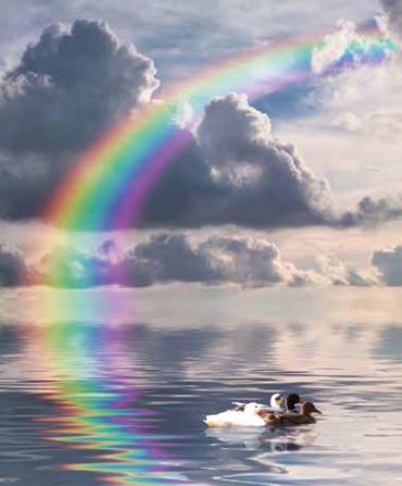 Ρόλερ με Ψηφιακή Εκτύπωση 'Ουράνιο Τόξο' E385