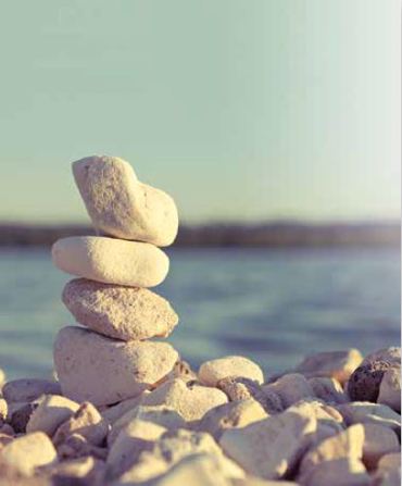 Ρόλερ με Ψηφιακή Εκτύπωση 'Harmony & Simplicity' E392