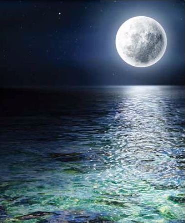 Ρόλερ με Ψηφιακή Εκτύπωση Πανσέληνος 'Moonlighting' E394