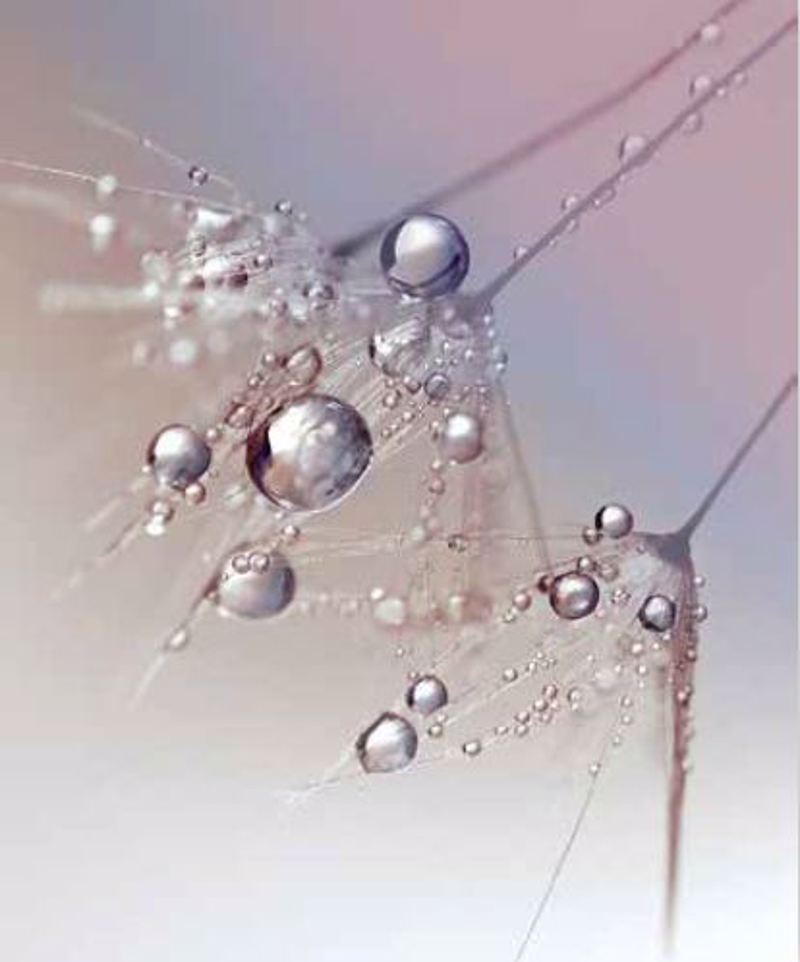 Ρόλερ με Ψηφιακή Εκτύπωση Σταγόνες 'Morning Dew' E396