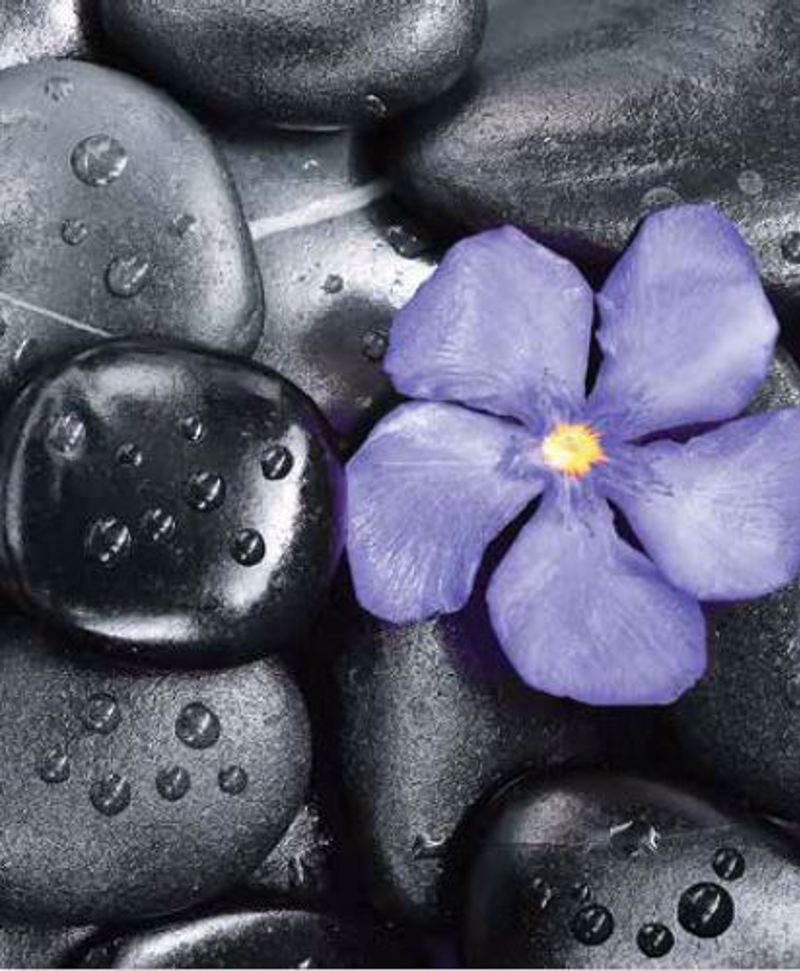 Ρόλερ με Ψηφιακή Εκτύπωση 'Black Pebbles' E401