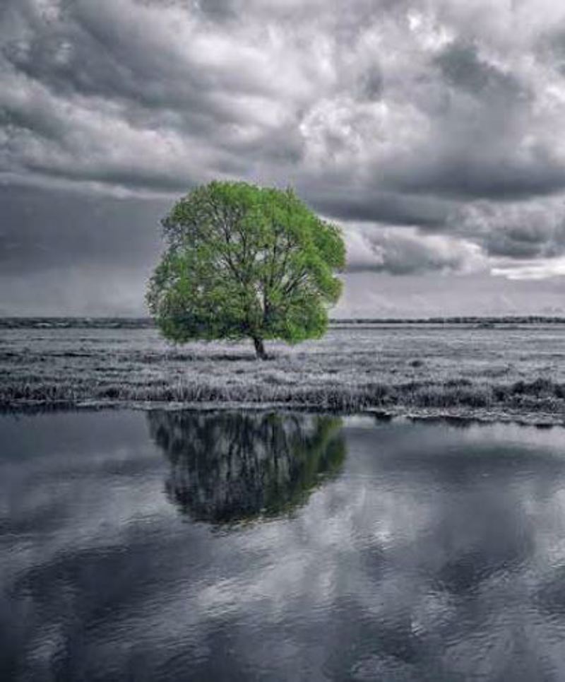 Anartisi - ΣΗΜΑΝΤΙΚΟ: Σε περίπτωση διαφοράς τιμής από το κατάστημα ισχύει παντα και μόνο η τιμή του καταστήματος Ρόλερ με Ψηφιακή Εκτύπωση 'Ασπρόμαυρο Τοπίο' E405