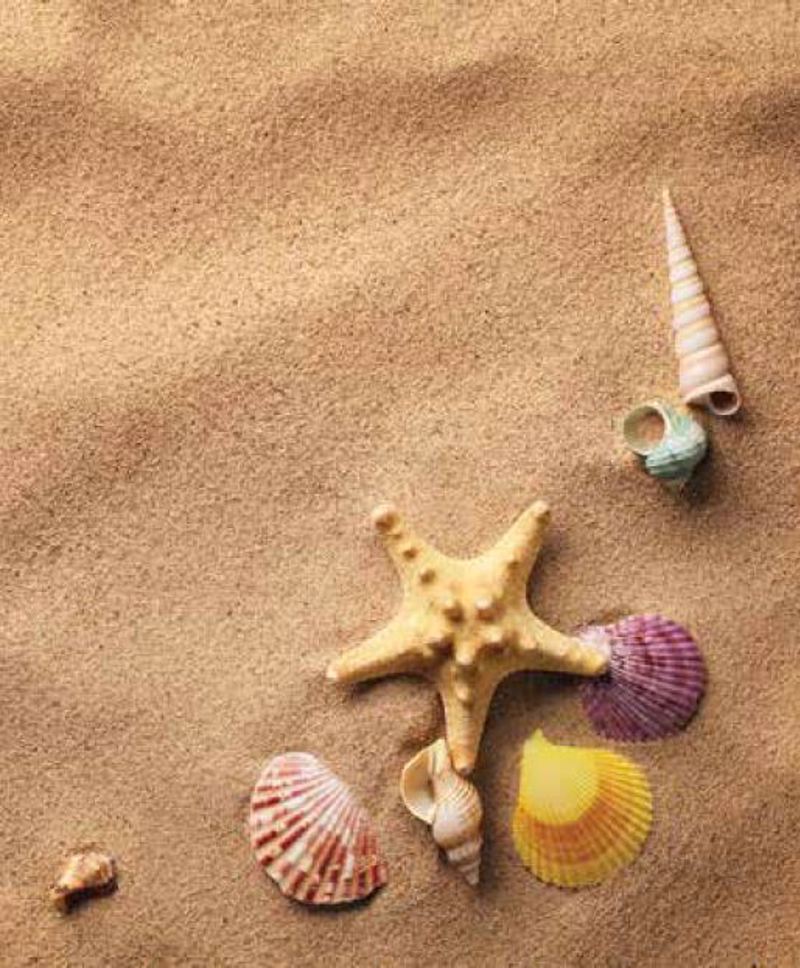 Ρόλερ με Ψηφιακή Εκτύπωση 'Κοχύλια' E410