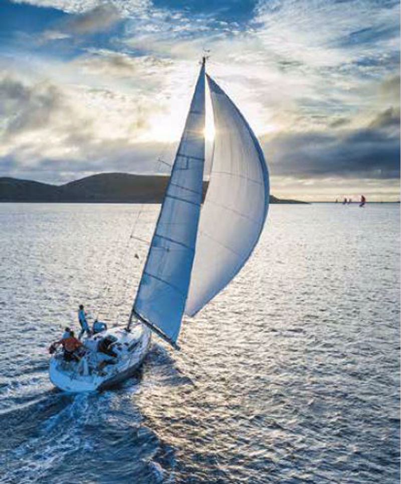 Ρόλερ με Ψηφιακή Εκτύπωση 'Ιστιοπλοϊκό' E414