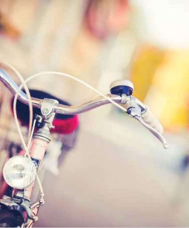 Ρόλερ με Ψηφιακή Εκτύπωση Vintage Ποδήλατο 'Bike Passio