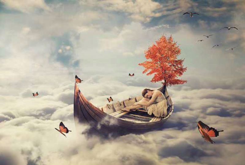 Anartisi - ΣΗΜΑΝΤΙΚΟ: Σε περίπτωση διαφοράς τιμής από το κατάστημα ισχύει παντα και μόνο η τιμή του καταστήματος Ρόλερ με Ψηφιακή Εκτύπωση Vintage 'Dream World' E426